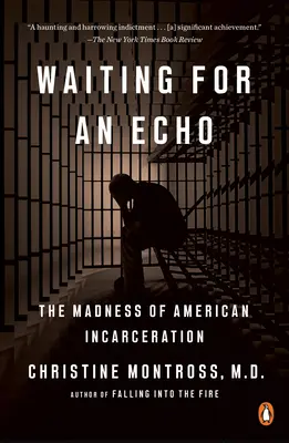 Várva a visszhangra: Az amerikai bebörtönzés őrülete - Waiting for an Echo: The Madness of American Incarceration