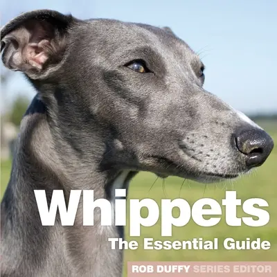 Whippetek: Az alapvető útmutató - Whippets: The Essential Guide