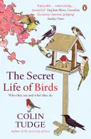 A madarak titkos élete - Kik ők és mit csinálnak - Secret Life of Birds - Who they are and what they do