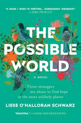 A lehetséges világ - The Possible World