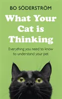 Mit gondol a macskád - What Your Cat Is Thinking