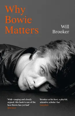 Miért fontos Bowie - Why Bowie Matters