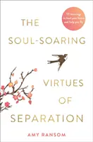 A szétválás lélekemelő erényei - 111 tanulság a szíved gyógyítására és a repülésed segítésére - Soul-Soaring Virtues of Separation - 111 Learnings to Heal Your Heart and Help You Fly