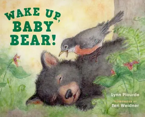 Ébredj, bébi mackó! - Wake Up, Baby Bear!