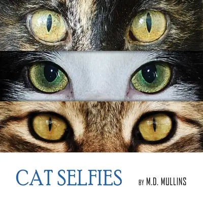 Macska szelfik - Cat Selfies