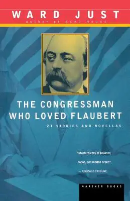 A képviselő, aki szerette Flaubert-t: 21 elbeszélés és novella - The Congressman Who Loved Flaubert: 21 Stories and Novellas