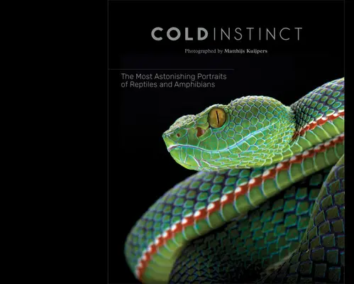 Matthijs Kuijpers: Kuijujsij: Hideg ösztön - Matthijs Kuijpers: Cold Instinct