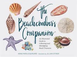 The Beachcomber's Companion: An Illustrated Guide to Collecting and Identifying Beach Treasures (Akvarell kagyló és kagylógyűjtő könyv, Bea - The Beachcomber's Companion: An Illustrated Guide to Collecting and Identifying Beach Treasures (Watercolor Seashell and Shell Collecting Book, Bea