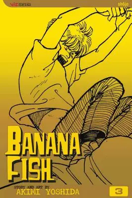 Banánhal, 3. kötet - Banana Fish, Volume 3