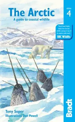 Az Északi-sarkvidék: Útmutató a partvidéki élővilághoz - The Arctic: A Guide to Coastal Wildlife