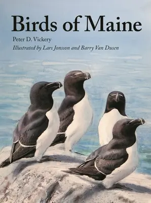 Maine madarai - Birds of Maine