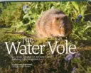 Vízimolnár - Nagy-Britannia egyik legveszélyeztetettebb emlősének története - Water Vole - The Story of One of Britain's Most Endangered Mammals