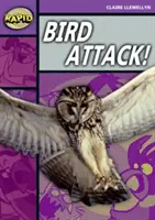 Rapid Reading: Bird Attack! (1. szakasz, B szint) - Rapid Reading: Bird Attack! (Stage 1, Level B)