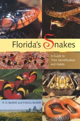 Florida kígyói: Útmutató az azonosításukhoz és szokásaikhoz - Florida's Snakes: A Guide to Their Identification and Habits