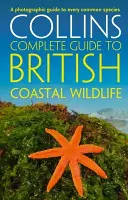 British Coastal Wildlife