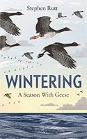 Téliesítés: A Season with Geese - Wintering: A Season with Geese