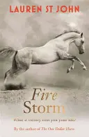 Egydolláros ló: Tűzvihar - 3. könyv - One Dollar Horse: Fire Storm - Book 3