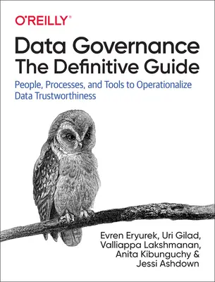 Data Governance: The Definitive Guide: People, Processes, and Tools to Operationalize Data Trustworthiness (Emberek, folyamatok és eszközök az adatok megbízhatóságának operacionalizálásához) - Data Governance: The Definitive Guide: People, Processes, and Tools to Operationalize Data Trustworthiness