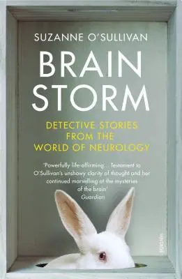 Brainstorm - Detektívtörténetek a neurológia világából - Brainstorm - Detective Stories From the World of Neurology