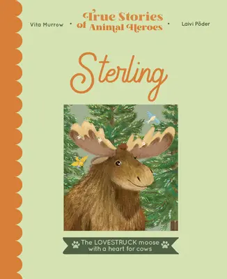 Sterling: A szerelmes jávorszarvas, akinek szíve a tehenekért van. - Sterling: The Lovestruck Moose with a Heart for Cows