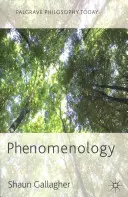 Fenomenológia - Phenomenology