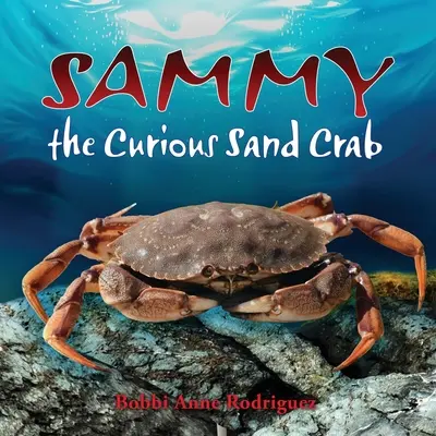 Sammy, a kíváncsi homokrák - Sammy the Curious Sand Crab