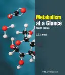 Metabolizmus egy pillantással - Metabolism at a Glance