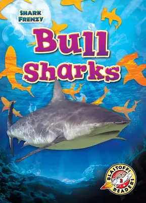 Bika cápák - Bull Sharks