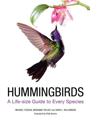 Kolibrik: A Life-Size Guide to Every Species - Hummingbirds: A Life-Size Guide to Every Species