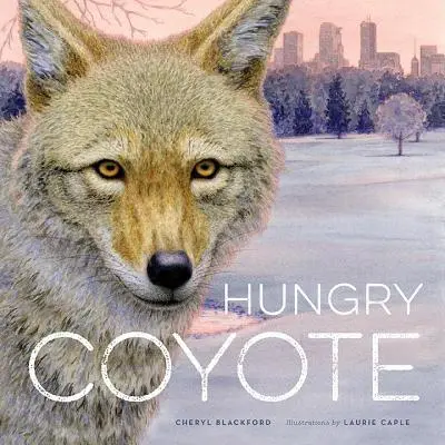 Éhes prérifarkas - Hungry Coyote