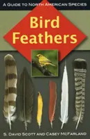 Madártollak: A Guide to North American Species - Bird Feathers: A Guide to North American Species