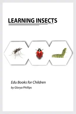 Rovarok tanulása: Montessori igazi rovarok könyv csecsemők és kisgyermekek, bitek intelligencia baba és kisgyermek, gyermekkönyv, tanulni - Learning Insects: Montessori real insects book for babies and toddlers, bits of intelligence for baby and toddler, children's book, lear