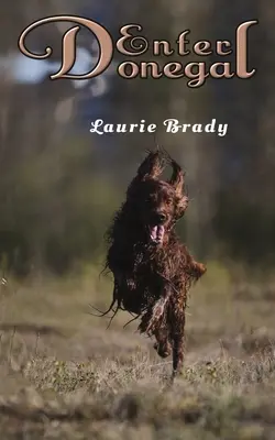 Lépjen be Donegalba! - Enter Donegal