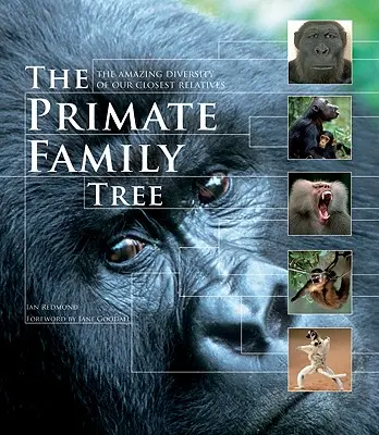 A főemlősök családfája: Legközelebbi rokonaink elképesztő sokszínűsége - The Primate Family Tree: The Amazing Diversity of Our Closest Relatives