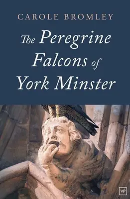 A York Minster vándorsólymai - Peregrine Falcons of York Minster