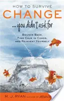 Hogyan éljük túl a változást . You Didn't Ask for : Bounce Back, Find Calm in Chaos, and Reinvent Yourself - How to Survive Change . . . You Didn't Ask for: Bounce Back, Find Calm in Chaos, and Reinvent Yourself