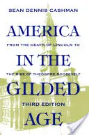 Amerika az aranykorban: Harmadik kiadás - America in the Gilded Age: Third Edition