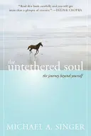 A kikötözött lélek: Az utazás önmagadon túlra - The Untethered Soul: The Journey Beyond Yourself