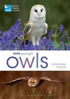 Rspb Spotlight Baglyok - Rspb Spotlight Owls