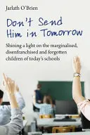 Ne küldd be holnap! A mai iskolák marginalizált, jogfosztott és elfelejtett gyermekeinek megvilágítása - Don't Send Him in Tomorrow: Shining a Light on the Marginalised, Disenfranchised and Forgotten Children of Today's Schools