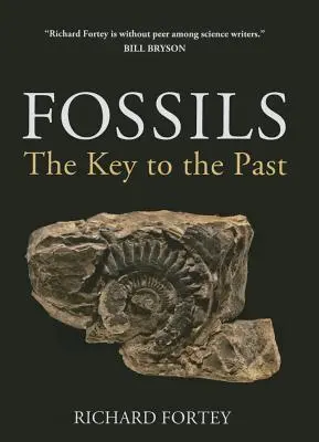 Fossils: A múlt kulcsa - Fossils: The Key to the Past