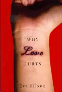 Miért fáj a szerelem: Szociológiai magyarázat - Why Love Hurts: A Sociological Explanation