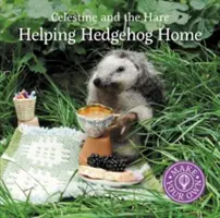 Segítő sün haza - Helping Hedgehog Home