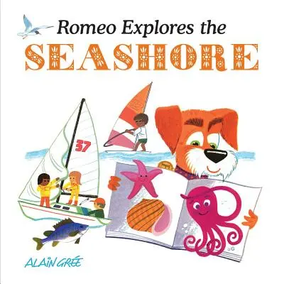 Romeo felfedezi a tengerpartot - Romeo Explores the Seashore