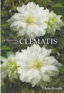 A klematisz kiválasztása - Choosing Your Clematis