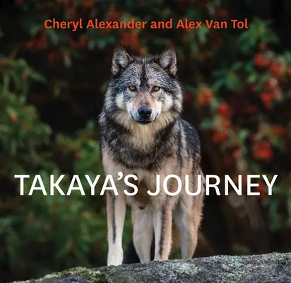 Takaya utazása - Takaya's Journey