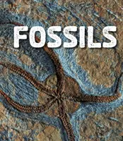 Fossziliák - Fossils