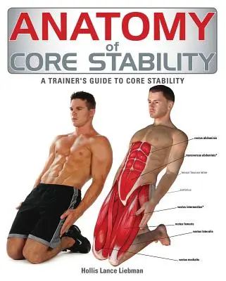 A törzs stabilitásának anatómiája: Az edző útmutatója a törzsstabilitásról - Anatomy of Core Stability: A Trainer's Guide to Core Stability