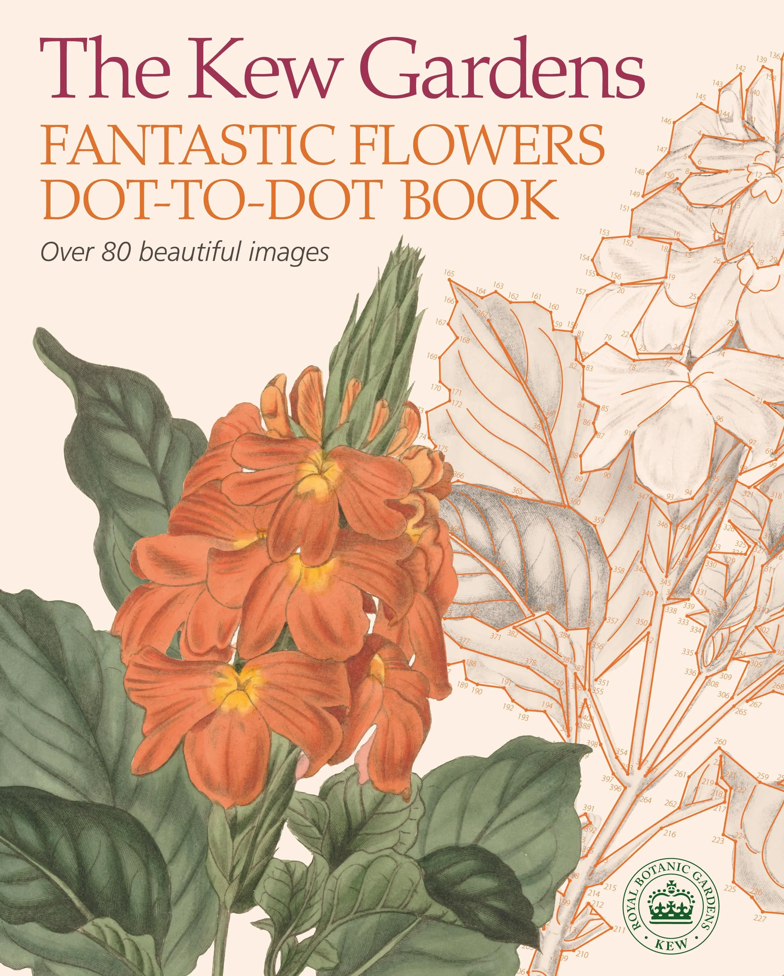 Kew Gardens Fantastic Flowers Dot-to-Dot könyv - Kew Gardens Fantastic Flowers Dot-to-Dot Book