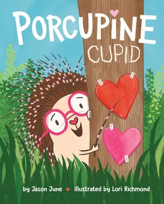 Porcupine Cupido - Porcupine Cupid